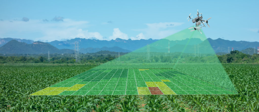 Agriculteur et pilote de drones Drone pour l'agriculture balayage du terrain, surveillance de l'hydratation du sol, du rendement et envoi des données à la tablette de l'agriculteur.