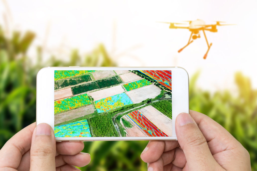 Agriculteur et pilote de drones Drone, agriculture de précision, smart phone
