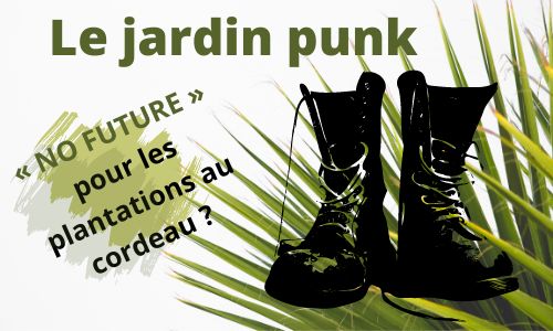 You are currently viewing Le jardin punk : « No future » pour les plantations au cordeau ?